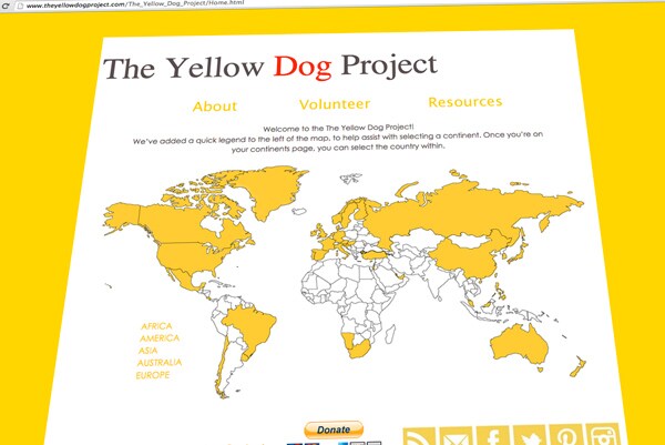 Special Needs Dog: What Does a Yellow Ribbon on a Dog's Collar Mean?