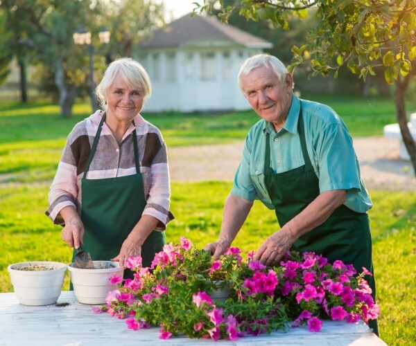 an older man and woman smiling at camera while planting some flowers