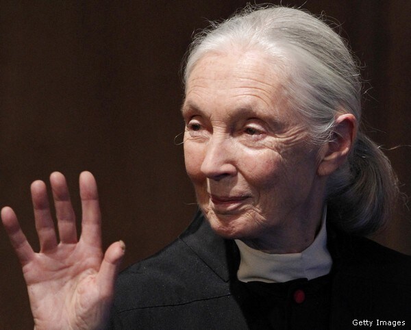 Jane Goodall: China Pillages Africa like Old Colonialists