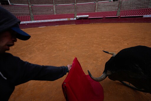 The Return of Bullfighting to Mexico's Capital Excites Fans and Upsets Animal Rights Groups