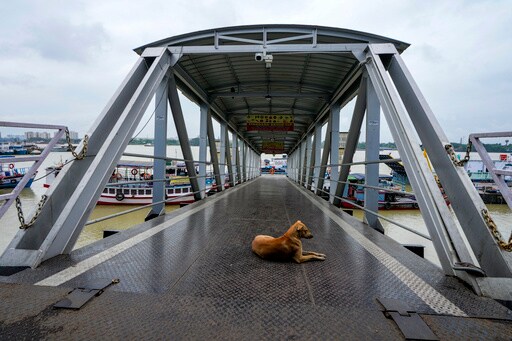 Tropical Storm Dana Makes Landfall along India's Eastern Coast, Bringing Heavy Rains and Strong Wind