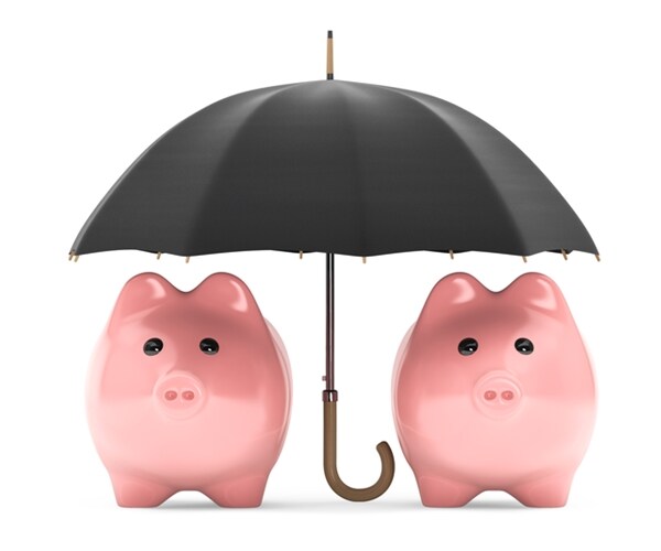 New Hampshire Raises the Ante for Wealth Protection