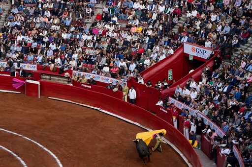 Federal Court Once again Suspends Bullfights in Mexico City, as Activists and Supporters Lock Horns