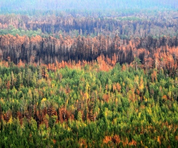 Scientists Say Record Heat in Small Russian Arctic Town Cause for Concern