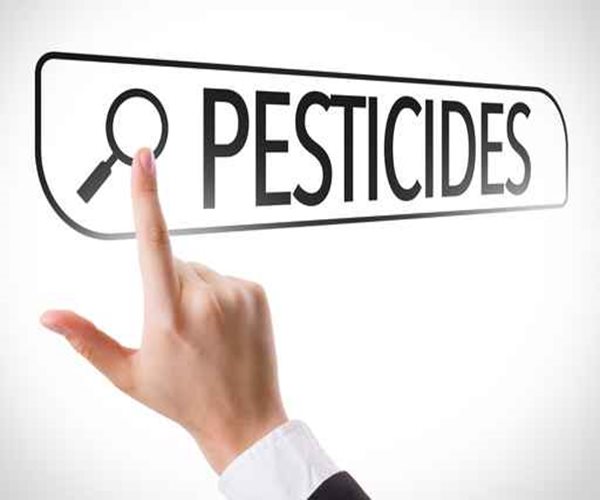 Even Low Pesticide Levels Damage Brain: Study