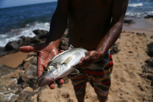 Brazil Says Oil Traces from Spill Reached Marine Park