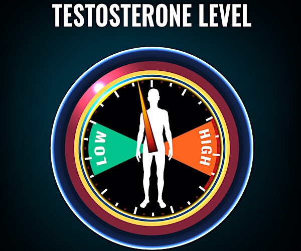 Low or high level male sex hormone production. Andropause health problem. Vector illustration