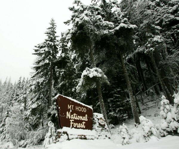 Climber Rescued, Others Stranded on Oregon's Mount Hood