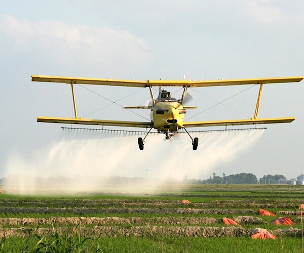 a crop duster flies low and sprays over a rice field