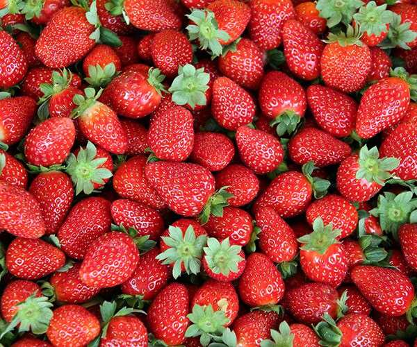 Environmental Working Group's 'Dirty Dozen' Lists Pesticide-Laced Foods