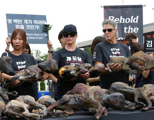 Rallies Erupt on 'dog Meat Day' in South Korea