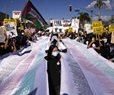 Pro-Palestine Protesters Disrupt Black Friday Shopping in LA