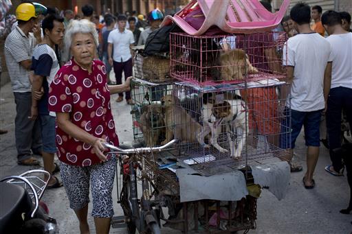 China City Holds Dog-meat Eating Festival Despite Protests