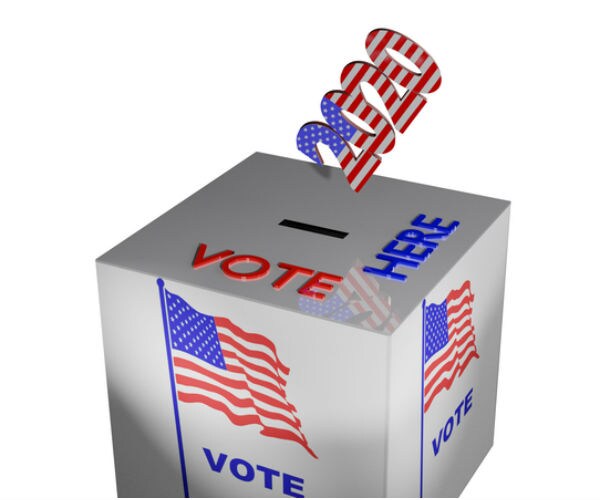 vote in 2020