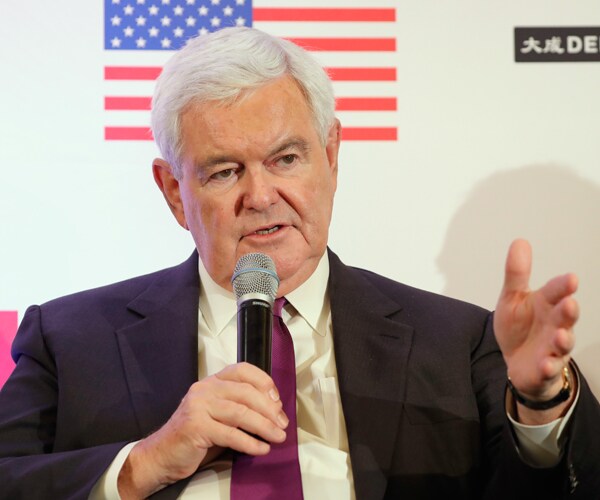 former house speaker newt gingrich