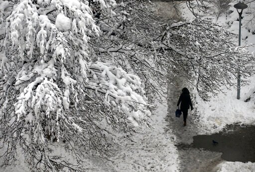 Man Dies in Cold Spell in Serbia; Schools Close in Bosnia