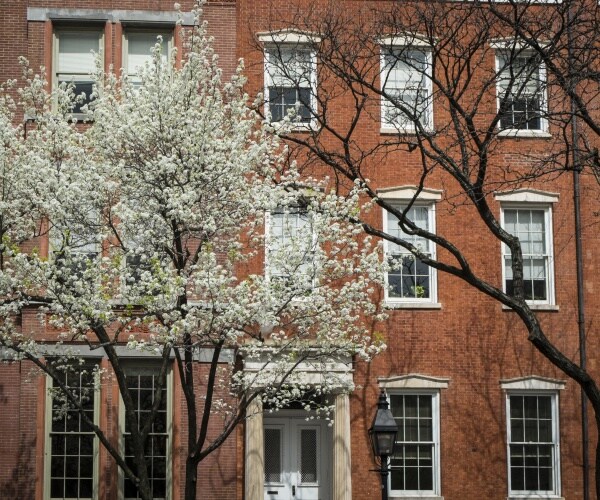 trees in front of apartment building in New York City