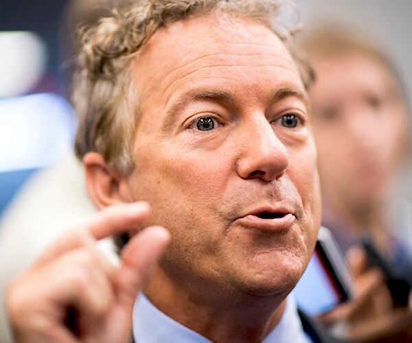 rand paul gestures while speaking during a senate committee hearing