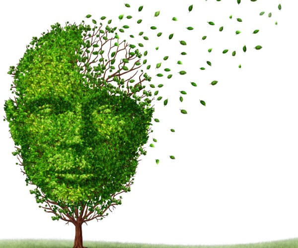 These 5 Things Combat Age-Related Memory Loss