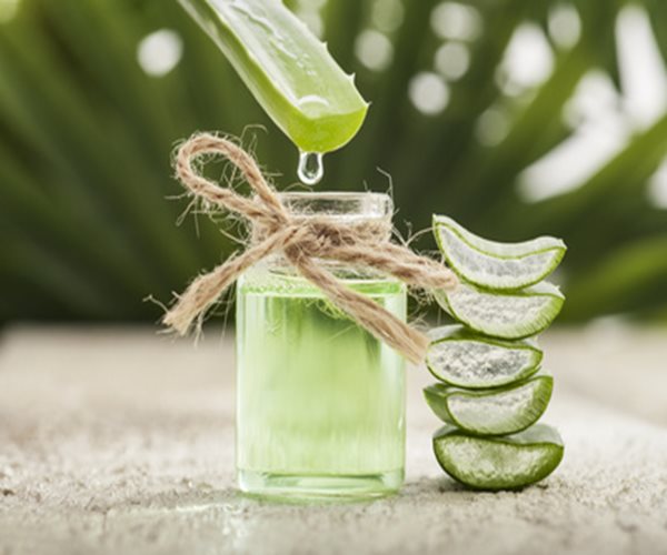 Many Aloe Gel Products Contain No Aloe Vera