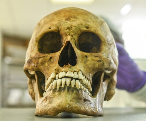 Customs Agents Seize 6 Human Skulls Shipped to US