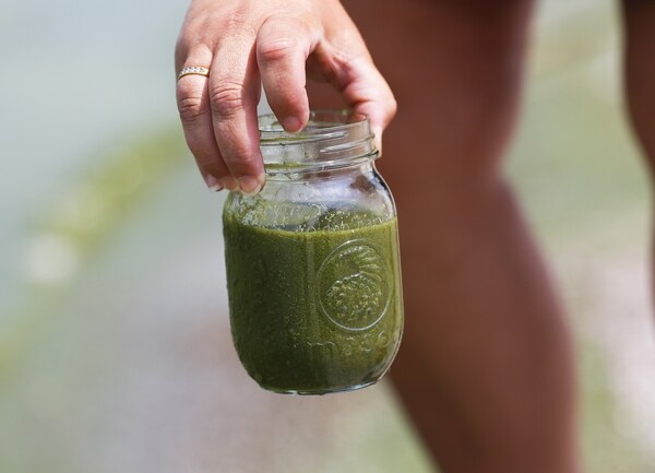 Toledo Water May Be Safe, but Contamination Threat Isn't Going Away