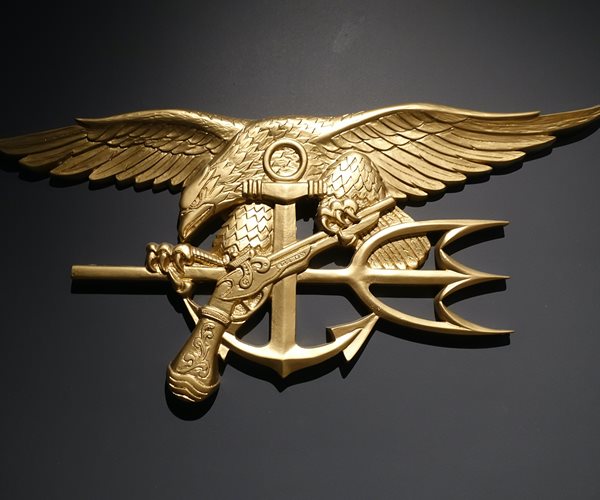 Navy: Member of SEAL Team 8 Dies After Training Incident