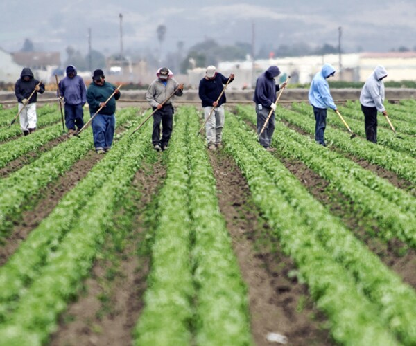 California Farmworkers Overtime Bill Signed By Gov. Brown