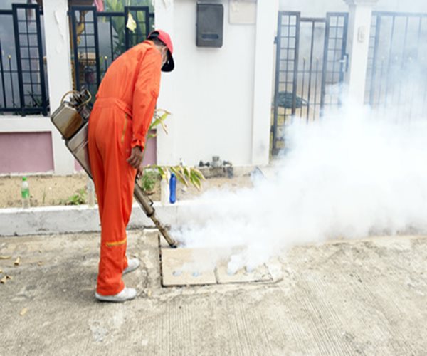 Hurricane Hermine Will Complicate Florida's Zika Fight