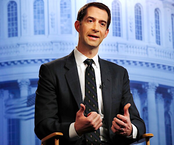 tom cotton gestures while delivering remarks during a congressional town hall