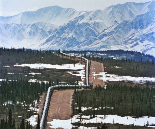 Biden to Suspend Oil Leases in Alaska's Arctic Refuge