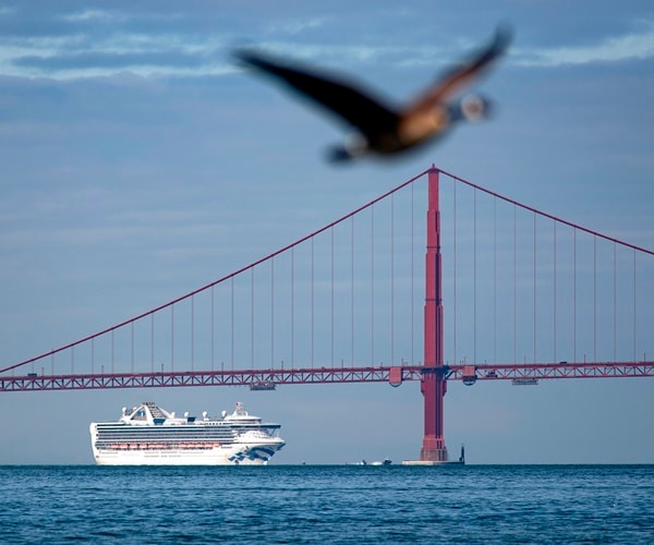 the grand princess cruise ship sails past the golden gate bridge in san francisco bay