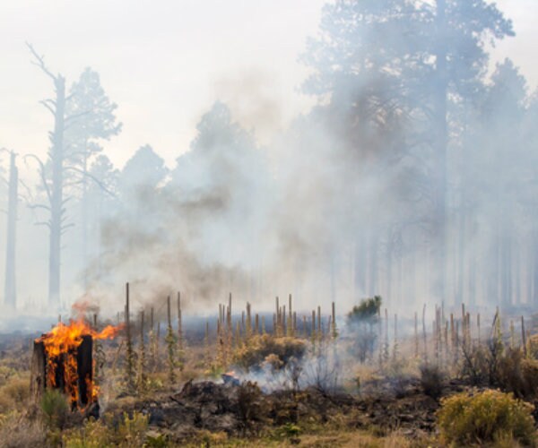 Wildfires Cause Breathing Problems Across South