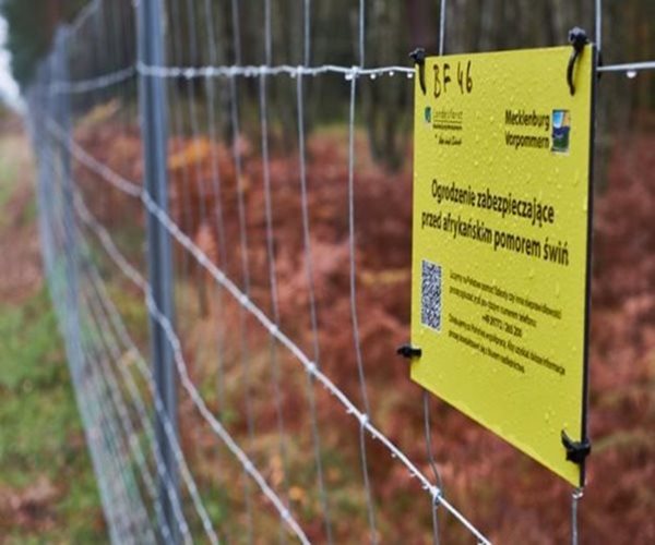 U.S. Seeks to Protect Pork Exports If African Swine Fever Hits Territories