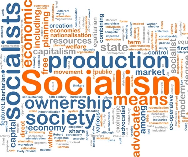 BNP Analyst: Socialist Winning White House Is Black Swan Risk