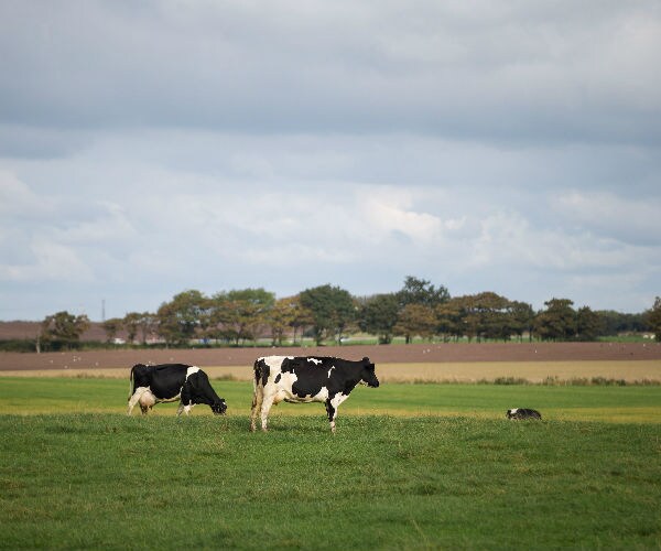 Pollster: Americans See Farming as 'Integral to National Security'