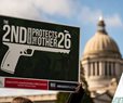 Poll: 72 Percent of Voters Support Second Amendment