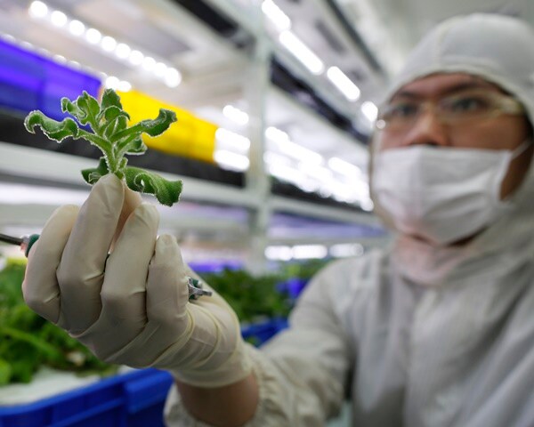 Bankers Quit Goldman, Citigroup for Biotech Riches in Hong Kong