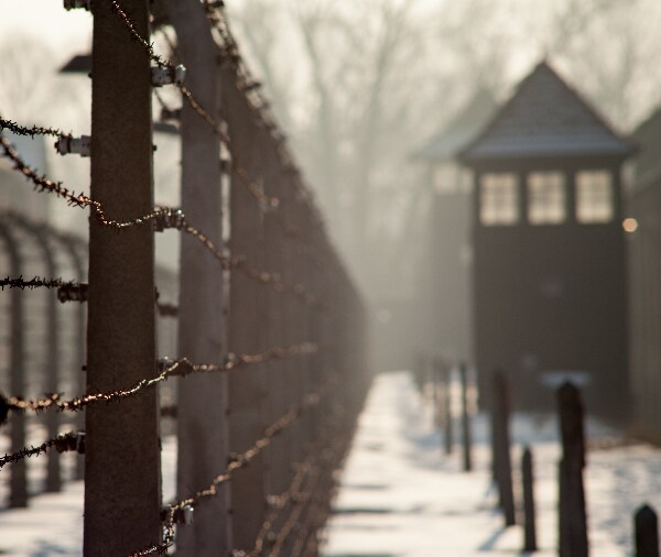 Poll: Nearly Half of Israelis Fear Second Holocaust Is Brewing