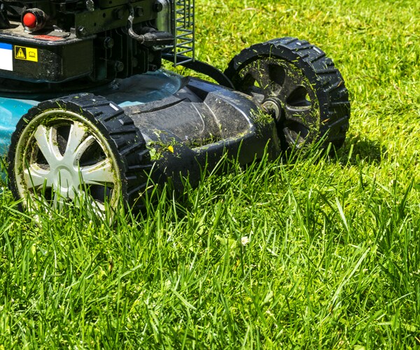 Police Called on Kid Mowing Lawn Increases His Business