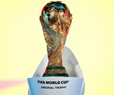 DHS Shutdown Hampers World Cup Security