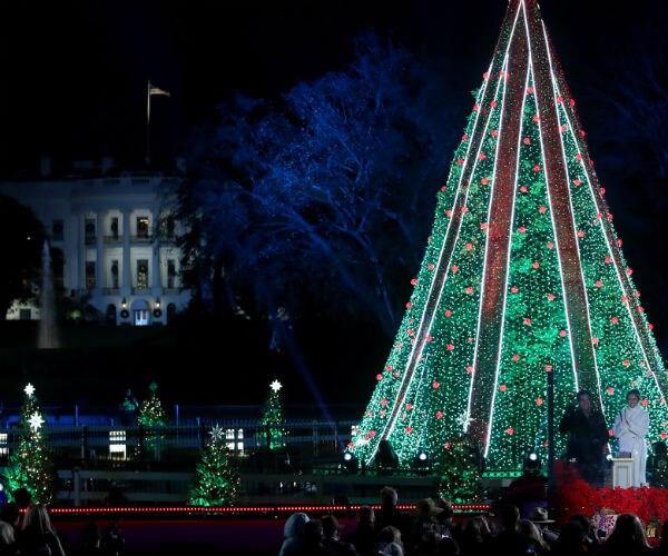 a nighttime scene with the lighted tree in front of the white house