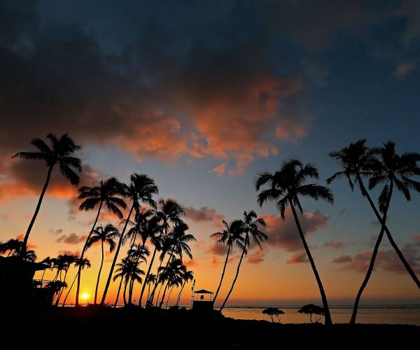 a sunset on the beach with palm trees