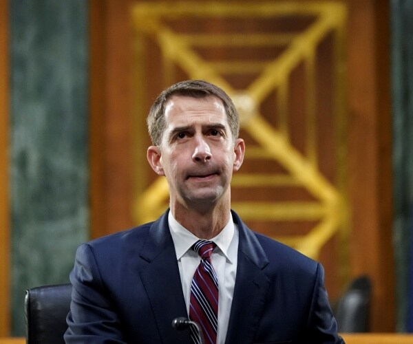 tom cotton sits in hearing