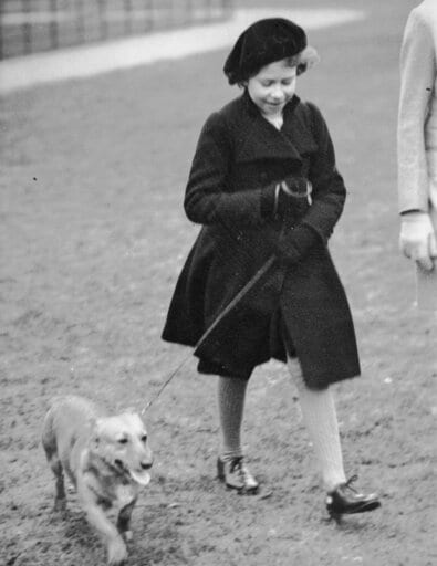 Queen's Death Casts Uncertainty over Fate of Beloved Corgis