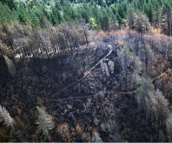 Oregon Wildfire Damages: $37M Must Be Repaid By Teen Who Started Fire