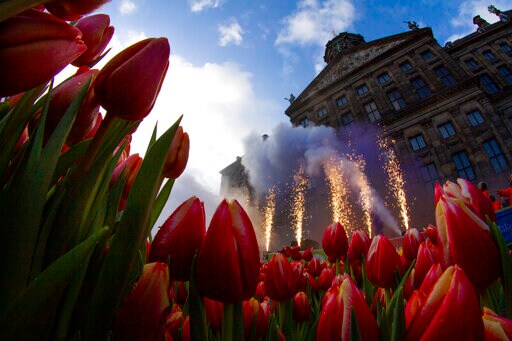 Away Winter Blues! Netherlands Marks National Tulip Day