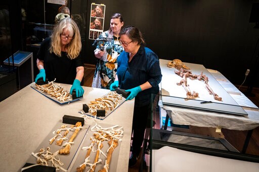 Skeletons of Related Viking-era Men to Reunite for Exhibit