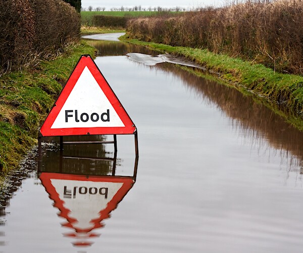 a flood sign sits in a overflowing stream