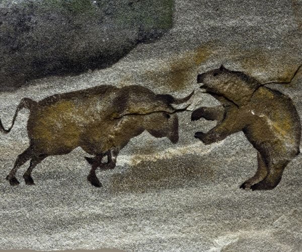 bull versus bear